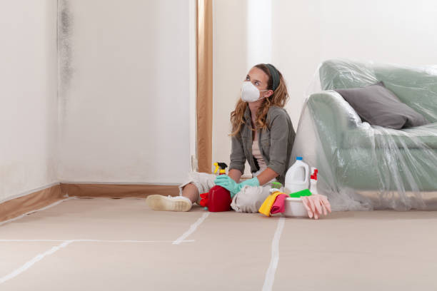 Reliable Mold Cleanup contractor in Lake Ann, MI by Cheap Mold Removal